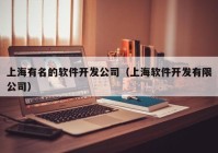 上海有名的软件开发公司（上海软件开发有限公司）